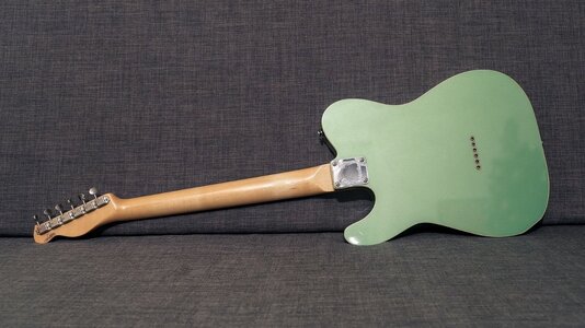 Moollon Telecaster 6.jpg