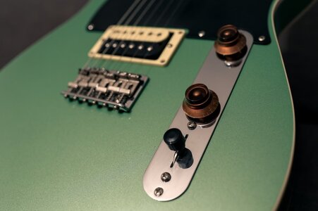 Moollon Telecaster 9.jpg
