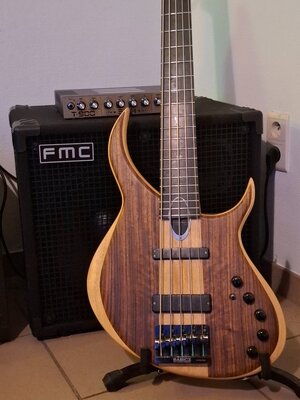 FS/FT: Meridian Aural II 5-string (Very recently restored/upgraded!)