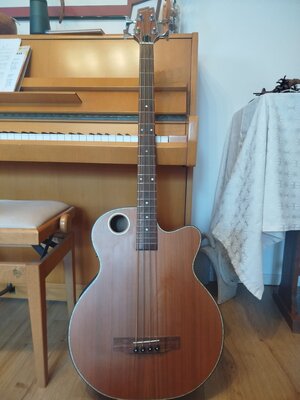 Boulder Creek Akustikbass EBR3-N4
