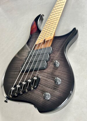 Dingwall ABI 5-String
