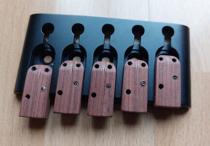 Eyb DDP-"Fretless"-Brücke