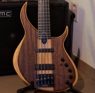 FS/FT: Meridian Aural II 5-string (Very recently refinished/upgraded!)