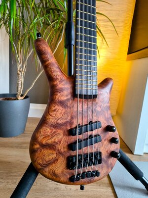 Warwick Thumb NT5 - 2007, Swirly Bubinga, super Zustand