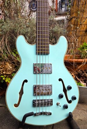 Warwick Star Bass 5 Saiter ProSeries