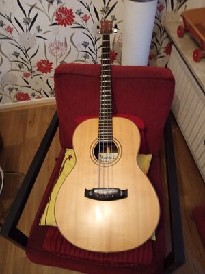 Magnus Krempel Akustik Bass