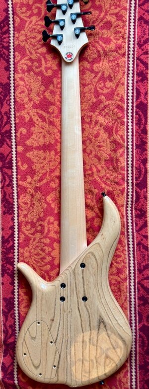 F Bass BN 6 Back Total.jpeg