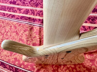 F Bass BN 6 Back Angle.jpeg