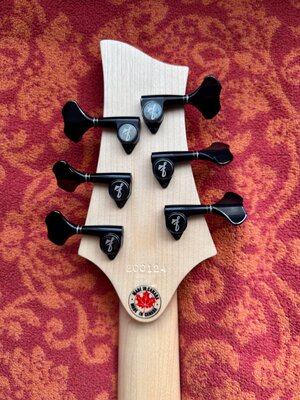 F Bass BN 6 Headstock Back.jpeg