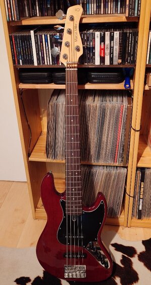 Endgültige Hobbyaufgabe - diverse Bässe