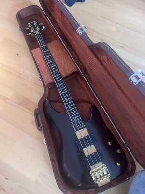 Ibanez Musician 824, 1984; 900,-