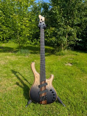 Mayones Viking 5VF Dirty Ash Black Horizon