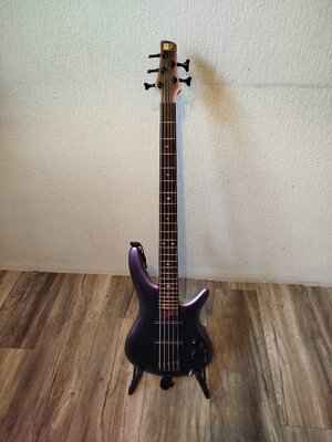 Verkaufe Ibanez SR 505E BAB
