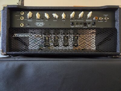 8 Chickenhead Potiknöpfe, z.B. für Traynor YBA 200