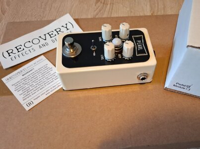 FS/FT: Recovery Effects 