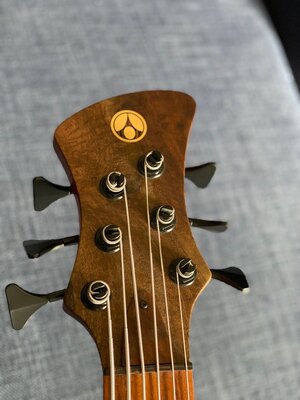 Adamovic Halo 6 string