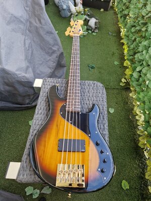 Squier Demension V Saiter klasse Player