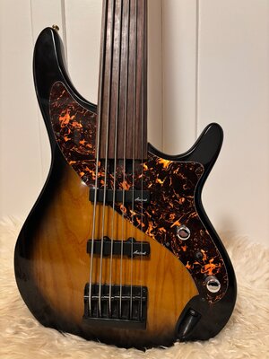Aria pro 2 Fretless 6 Saiter