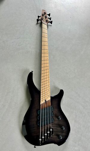 Dingwall AB1 5-String