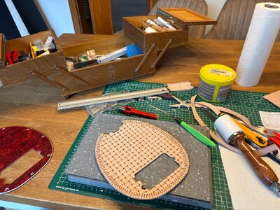 08_Pickguard roh.JPG