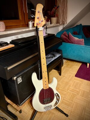 11_Pickguard montiert 1.jpg