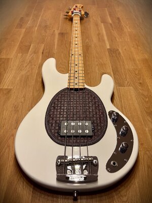 13_Pickguard montiert 3.jpg