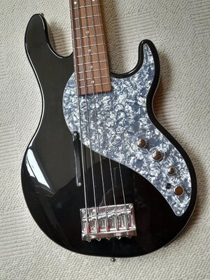 2 Line6 Variax 705.jpg