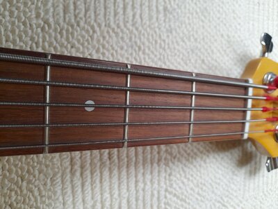 6 Line6 Variax 705.jpg