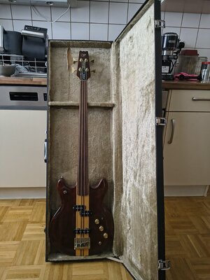 Vantage VP825B Fretless Japan Matsumoku evtl. Tausch...  Casady, Thunderbird....