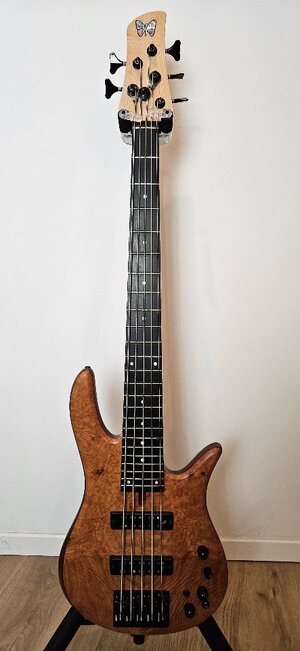 Fodera Monarch 5 Standard Special Bj.2018