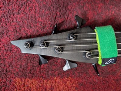 PXL_20260214_114716590.jpg PXL_20260214_114716590.jpg