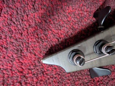 PXL_20260214_114721492.jpg PXL_20260214_114721492.jpg