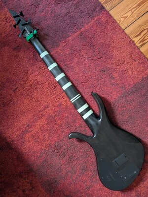 PXL_20260214_114651637.jpg PXL_20260214_114651637.jpg