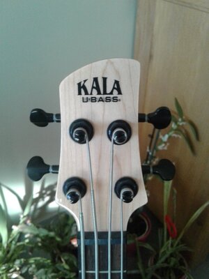 Kala U-Bass Solidbody   USA made