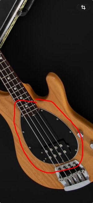 Suche asymmetrisches Ei (USA Sterling Pickguard b/w/b)