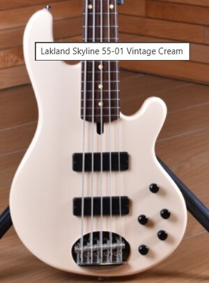 [SUCHE] Lakland Skyline 55-01