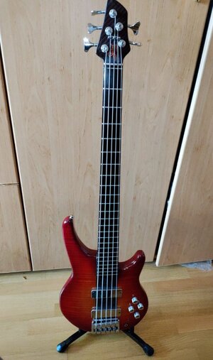 Status - Modell Eclipse 5 string