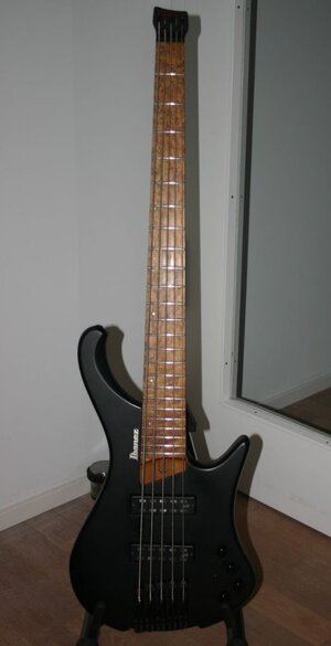 ibanez01.jpg