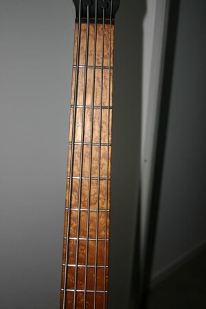 ibanez02.jpg