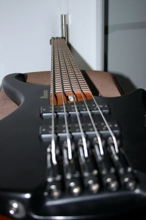 ibanez10.jpg
