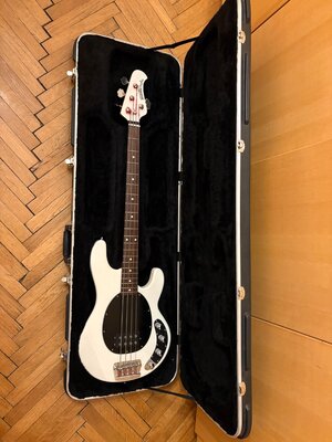 Musicman Stingray