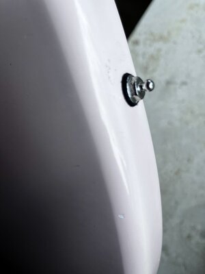 K bass jazz - 17 von 18.jpeg