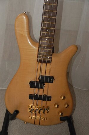 Warwick Body Front.JPG