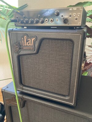 Aguilar SL110 & Tuki Case Top neuwertig