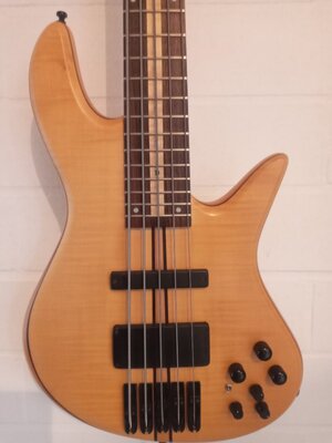 Valerie Richert Custom V