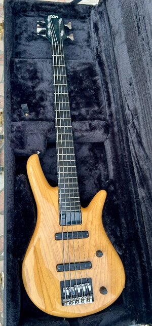 Zon Sonus Custom 5 strings