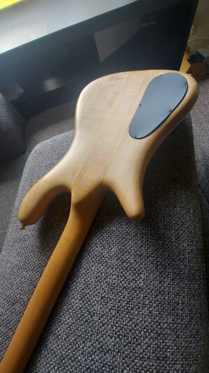 Spector SSD Bass NS-CR4 FM