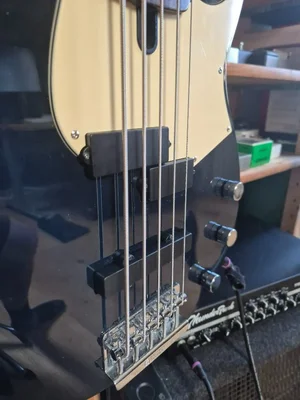 Häussel-Pickups-02.webp
