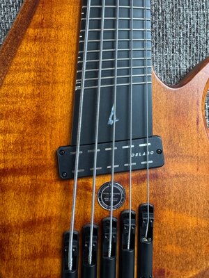 Groß (IMG_0748).jpeg