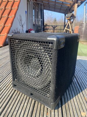 Eden 110 4Ohm 300 Watt